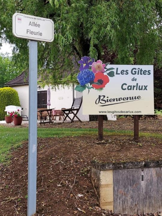 Hortensia Carlux Kültér fotó
